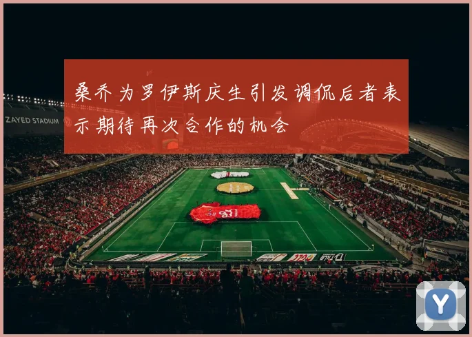 桑乔为罗伊斯庆生引发调侃后者表示期待再次合作的机会