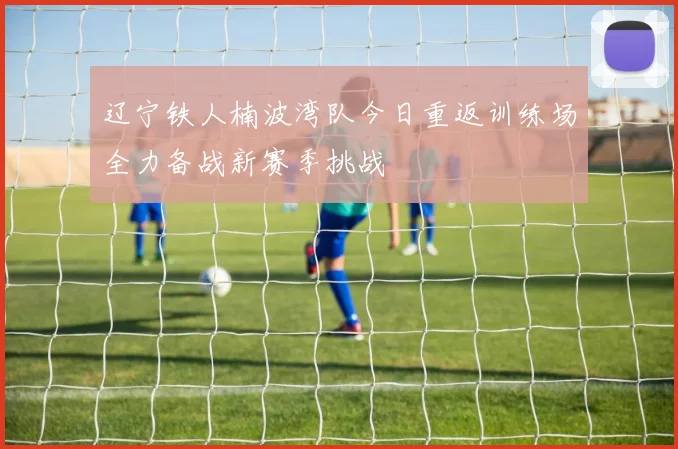 辽宁铁人楠波湾队今日重返训练场全力备战新赛季挑战