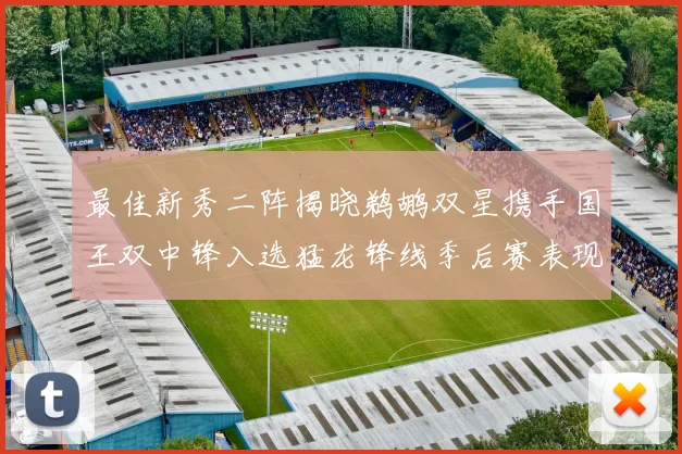 最佳新秀二阵揭晓鹈鹕双星携手国王双中锋入选猛龙锋线季后赛表现抢眼